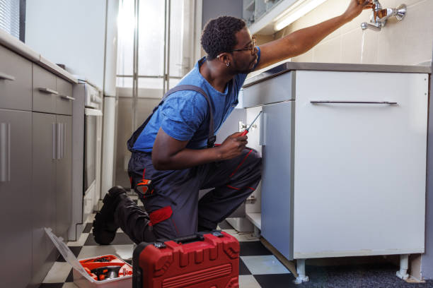 Best Residential Plumbing Services  in Brookfield, IL